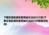 下载安装的虚拟紫禁城无法运行介绍(下载安装的虚拟紫禁城无法运行详细情况如何)