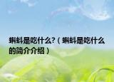 蝌蚪是吃什么?（蝌蚪是吃什么的简介介绍）