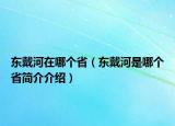 东戴河在哪个省（东戴河是哪个省简介介绍）