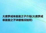 大唐罗成单盈盈之子介绍(大唐罗成单盈盈之子详细情况如何)