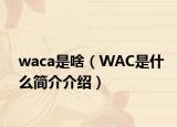 waca是啥（WAC是什么简介介绍）