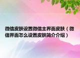 微信皮肤设置微信主界面皮肤（微信界面怎么设置皮肤简介介绍）