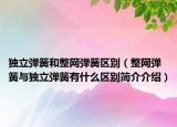独立弹簧和整网弹簧区别（整网弹簧与独立弹簧有什么区别简介介绍）