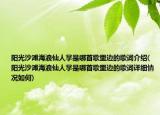 阳光沙滩海浪仙人掌是哪首歌里边的歌词介绍(阳光沙滩海浪仙人掌是哪首歌里边的歌词详细情况如何)
