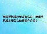 苹果手机掉水里该怎么办（苹果手机掉水里怎么处理简介介绍）
