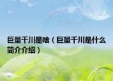 巨量千川是啥（巨量千川是什么简介介绍）