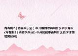 青春期2（青春失乐园）中开始的歌曲叫什么名字介绍(青春期2（青春失乐园）中开始的歌曲叫什么名字详细情况如何)