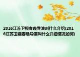 2016江苏卫视春晚导演叫什么介绍(2016江苏卫视春晚导演叫什么详细情况如何)