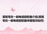 爱就宅在一起电视剧歌曲介绍(爱就宅在一起电视剧歌曲详细情况如何)