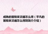 成熟的冒险家灵魂怎么得（平凡的冒险家灵魂怎么得到简介介绍）