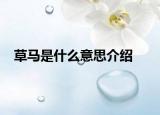 草马是什么意思介绍