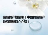 葡萄的产地是哪（中国的葡萄产地有哪些简介介绍）