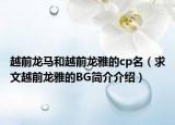 越前龙马和越前龙雅的cp名（求文越前龙雅的BG简介介绍）