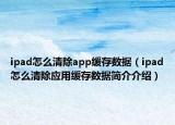 ipad怎么清除app缓存数据（ipad怎么清除应用缓存数据简介介绍）