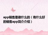 app销售是做什么的（有什么好的销售app简介介绍）