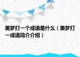 美梦打一个成语是什么（美梦打一成语简介介绍）