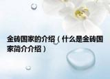金砖国家的介绍（什么是金砖国家简介介绍）