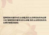 炫舞里的沙滩贝壳怎么捡呢(我怎么没看见有贝壳在那介绍 炫舞里的沙滩贝壳怎么捡呢 我怎么没看见有贝壳在那详细情况如何)