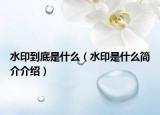 水印到底是什么（水印是什么简介介绍）