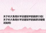 关于钓大鱼用长竿还是短竿的困惑介绍(关于钓大鱼用长竿还是短竿的困惑详细情况如何)