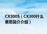 CX300S（CX300什么意思简介介绍）