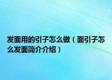 发面用的引子怎么做（面引子怎么发面简介介绍）