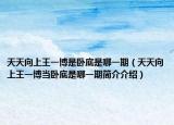 天天向上王一博是卧底是哪一期（天天向上王一博当卧底是哪一期简介介绍）