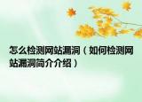 怎么检测网站漏洞（如何检测网站漏洞简介介绍）