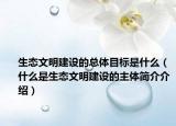 生态文明建设的总体目标是什么（什么是生态文明建设的主体简介介绍）
