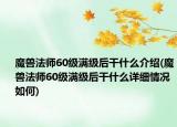 魔兽法师60级满级后干什么介绍(魔兽法师60级满级后干什么详细情况如何)