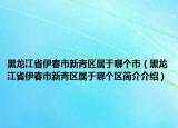 黑龙江省伊春市新青区属于哪个市（黑龙江省伊春市新青区属于哪个区简介介绍）