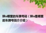 陕u哪里的车牌号码（陕u是哪里的车牌号简介介绍）