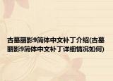古墓丽影9简体中文补丁介绍(古墓丽影9简体中文补丁详细情况如何)