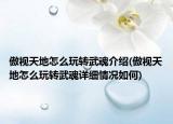 傲视天地怎么玩转武魂介绍(傲视天地怎么玩转武魂详细情况如何)