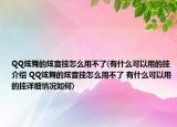 QQ炫舞的炫音挂怎么用不了(有什么可以用的挂介绍 QQ炫舞的炫音挂怎么用不了 有什么可以用的挂详细情况如何)