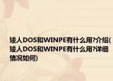 矮人DOS和WINPE有什么用?介绍(矮人DOS和WINPE有什么用?详细情况如何)