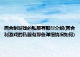 回合制游戏的私服有那些介绍(回合制游戏的私服有那些详细情况如何)