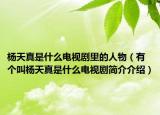 杨天真是什么电视剧里的人物（有个叫杨天真是什么电视剧简介介绍）
