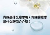 青睐是什么意思呢（青睐的意思是什么呀简介介绍）