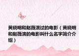 黄晓明和赵薇演过的电影（黄晓明和赵薇演的电影叫什么名字简介介绍）