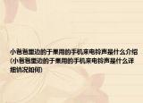 小爸爸里边的于果用的手机来电铃声是什么介绍(小爸爸里边的于果用的手机来电铃声是什么详细情况如何)