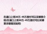 在浦口上班30万-45万首付可以买哪里介绍(在浦口上班30万-45万首付可以买哪里详细情况如何)
