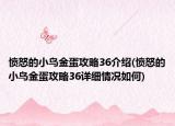愤怒的小鸟金蛋攻略36介绍(愤怒的小鸟金蛋攻略36详细情况如何)