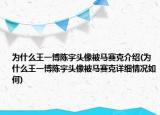 为什么王一博陈宇头像被马赛克介绍(为什么王一博陈宇头像被马赛克详细情况如何)