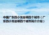 中国广东四小龙是哪四个城市（广东四小龙是哪四个城市简介介绍）
