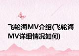 飞轮海MV介绍(飞轮海MV详细情况如何)