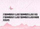 只狼神隐有什么用只狼神隐怎么用介绍(只狼神隐有什么用只狼神隐怎么用详细情况如何)
