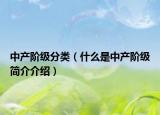 中产阶级分类（什么是中产阶级简介介绍）