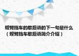 螳臂挡车的歇后语的下一句是什么（螳臂挡车歇后语简介介绍）