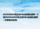 NOKIA6500有没有GBA的模拟器呢~介绍(NOKIA6500有没有GBA的模拟器呢~详细情况如何)